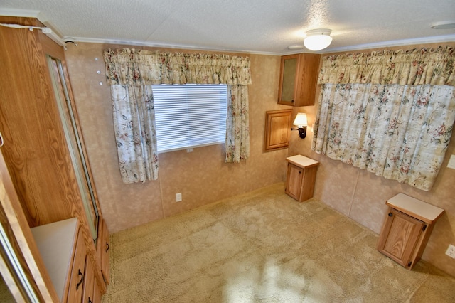 18096 Browns Lake Rd # 17, Richmond, MN 56368 - interior space with light carpet, crown molding, and a textured ceiling