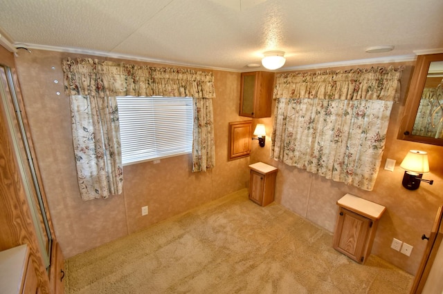 18096 Browns Lake Rd # 17, Richmond, MN 56368 - bathroom with crown molding and a textured ceiling