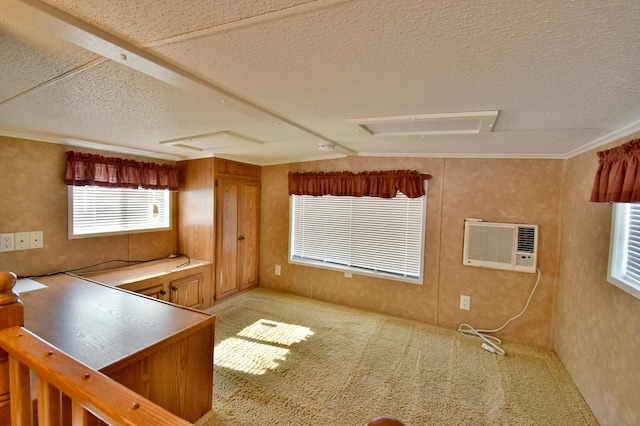18096 Browns Lake Rd # 17, Richmond, MN 56368 - kitchen with light countertops, a textured ceiling, a wall mounted air conditioner, light colored carpet, and ornamental molding