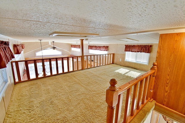 18096 Browns Lake Rd # 17, Richmond, MN 56368 - interior space with carpet, vaulted ceiling, and a textured ceiling