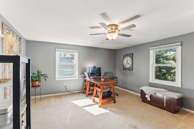 carpeted office space with a ceiling fan, baseboards, and a textured ceiling