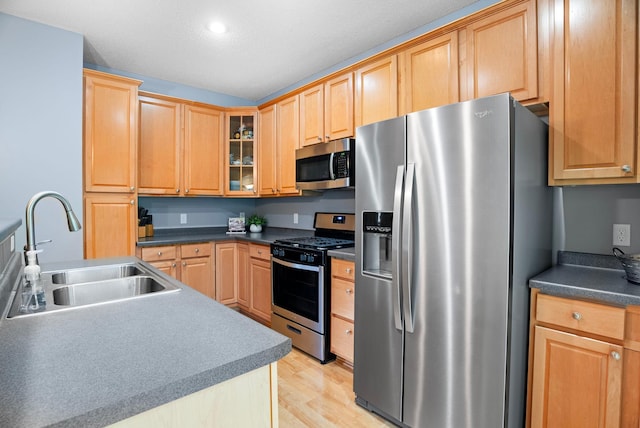 19925 Langford Ln Unit 804, Farmington, MN 55024 - photo 9
