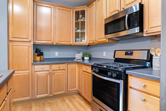 19925 Langford Ln Unit 804, Farmington, MN 55024 - photo 10