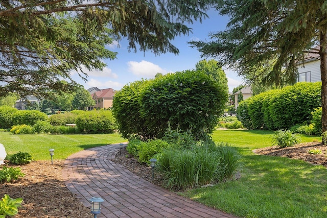 11871 Flanders Cir NE, Blaine, MN 55449 - view of property's community featuring a lawn
