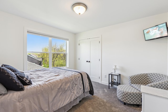 3344 26th Ave S, Saint Cloud, MN 56301 - bedroom with dark colored carpet, baseboards, and a closet