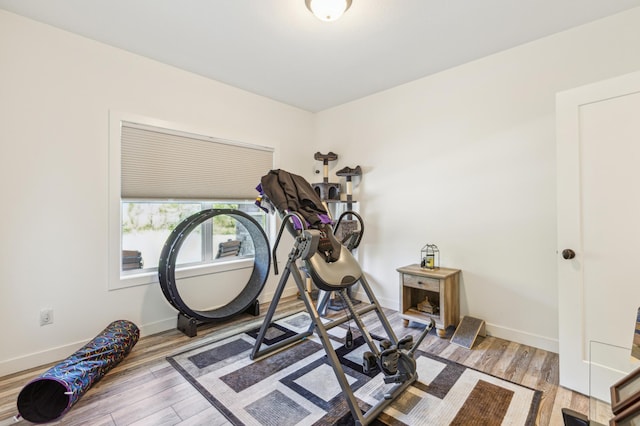 3344 26th Ave S, Saint Cloud, MN 56301 - exercise area with wood finished floors and baseboards