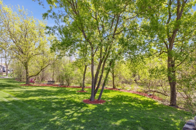 3344 26th Ave S, Saint Cloud, MN 56301 - view of green lawn