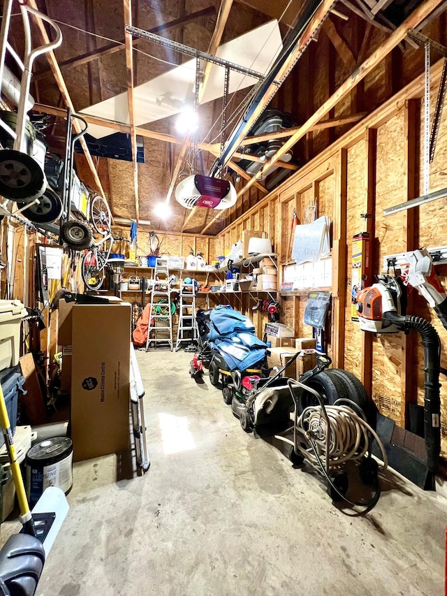 2543 Sunny Meadow Ln, Red Wing, MN 55066 - below grade area with a garage and a workshop area