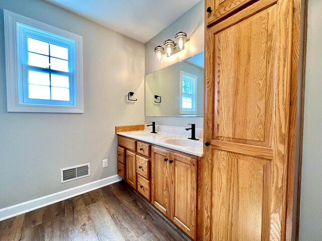 2543 Sunny Meadow Ln, Red Wing, MN 55066 - full bath with double vanity, wood finished floors, and baseboards