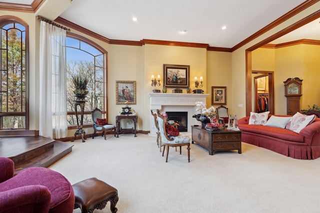 living area featuring carpet flooring, ornamental molding, and a fireplace