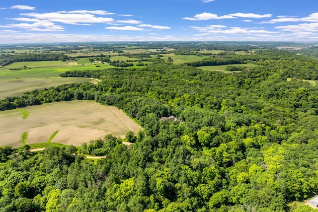 17620 Xanadu Ave, Jordan, MN 55352 - drone / aerial view of a forest