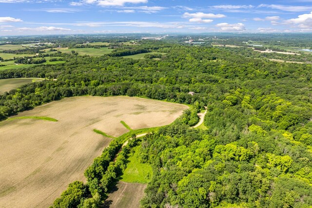 17620 Xanadu Ave, Jordan, MN 55352 - drone / aerial view of a forest