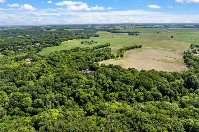 17620 Xanadu Ave, Jordan, MN 55352 - drone / aerial view of a forest
