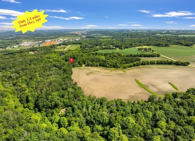 17620 Xanadu Ave, Jordan, MN 55352 - aerial view of a forest