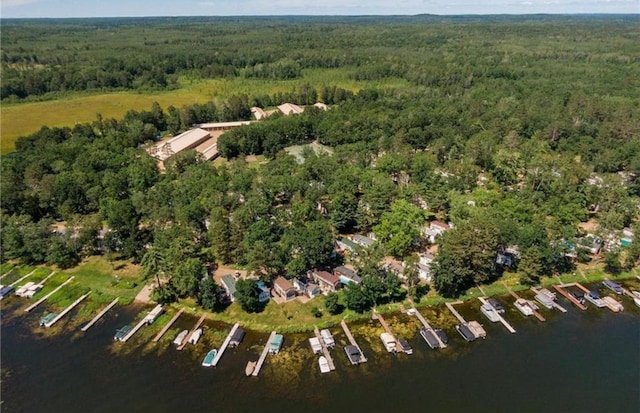 bird's eye view with a water view and a forest view