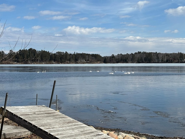 dock area featuring a water view and a view of trees