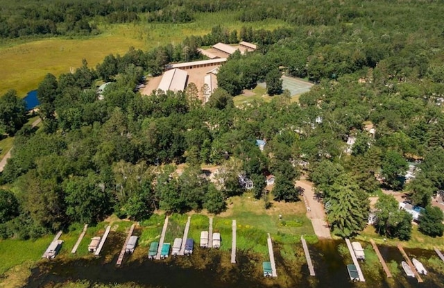 drone / aerial view