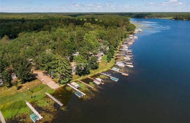 bird's eye view with a water view and a view of trees