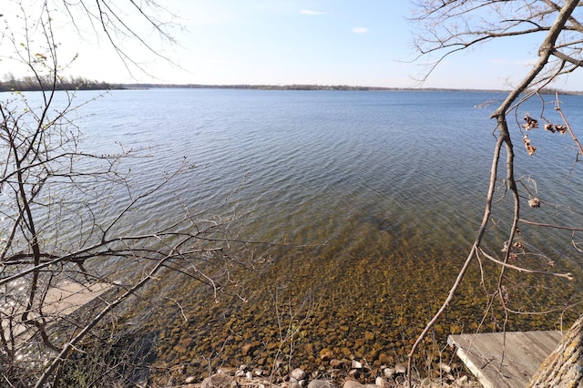 30304 Aspen Dr, Grey Eagle Twp, MN 56336 - property view of water