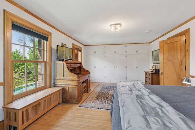 2924 Farwell Ave, Minneapolis, MN 55411 - bedroom featuring light wood-style flooring, crown molding, and radiator