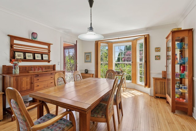 2924 Farwell Ave, Minneapolis, MN 55411 - dining room with ornamental molding, light wood finished floors, and radiator