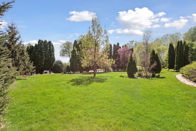 2924 Farwell Ave, Minneapolis, MN 55411 - view of home's community featuring a lawn