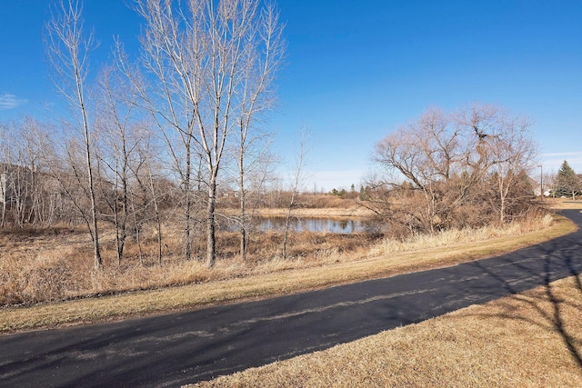 8770 Benson Way Unit 82, Inver Grove Heights, MN 55076 - photo 31