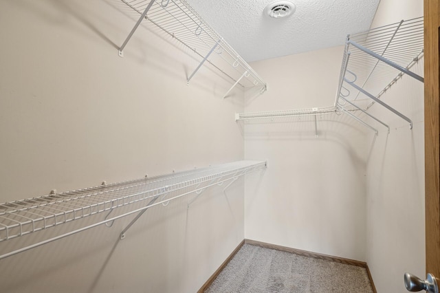 walk in closet with visible vents and carpet floors