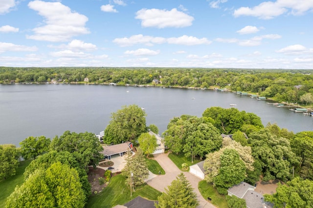 1310 Vine Pl, Orono, MN 55364 - aerial view of property's location featuring a heavily wooded area and a large body of water
