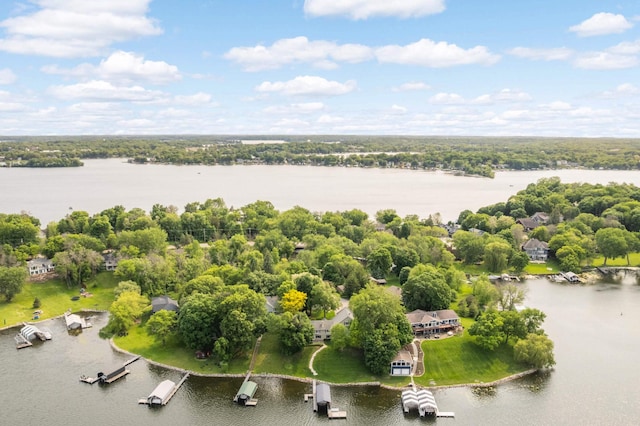 1310 Vine Pl, Orono, MN 55364 - bird's eye view of a nearby body of water and a tree filled landscape