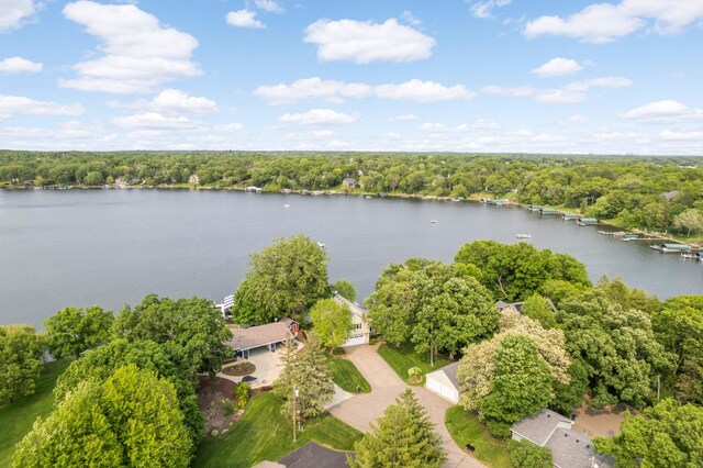1310 Vine Pl, Orono, MN 55364 - photo 4
