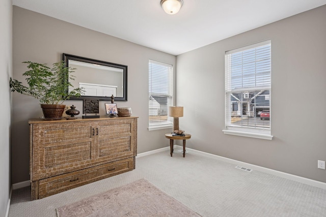 19477 102nd Pl, Corcoran, MN 55374 - living area with carpet and baseboards