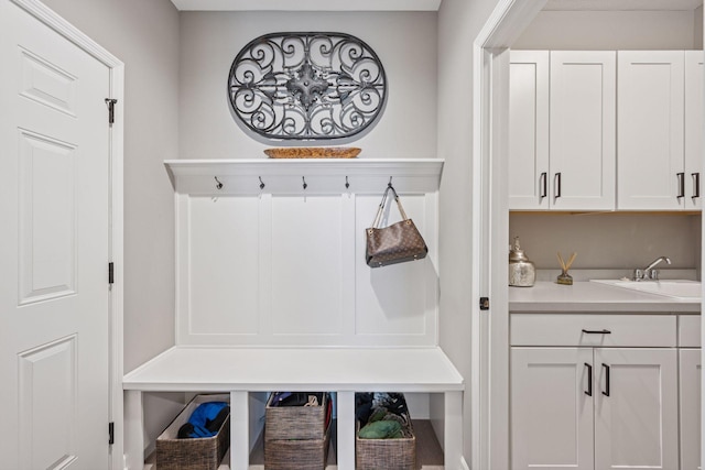 19477 102nd Pl, Corcoran, MN 55374 - mudroom with a sink