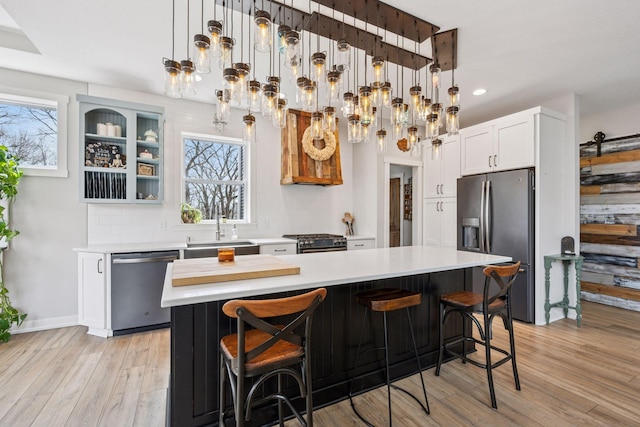 18837 Ogden St NW, Elk River, MN 55330 - kitchen featuring stainless steel appliances, light countertops, a sink, light wood-type flooring, and healthy amount of natural light