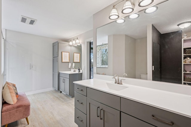 18837 Ogden St NW, Elk River, MN 55330 - full bathroom featuring a chandelier, wood finished floors, two vanities, a stall shower, and toilet