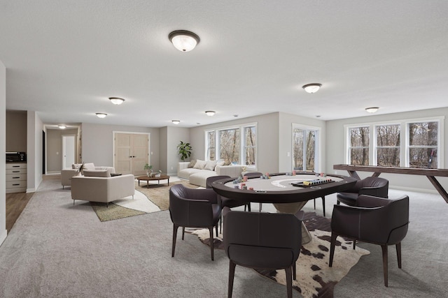 18837 Ogden St NW, Elk River, MN 55330 - view of carpeted dining space