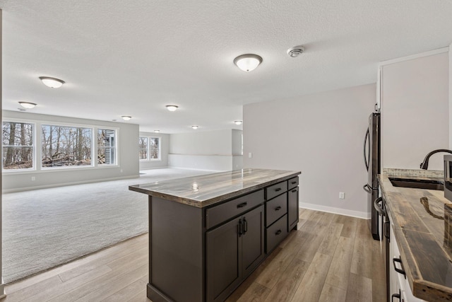18837 Ogden St NW, Elk River, MN 55330 - kitchen with a sink, freestanding refrigerator, light wood-style floors, a center island, and a textured ceiling