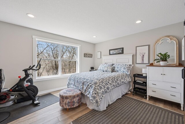 18837 Ogden St NW, Elk River, MN 55330 - bedroom with wood finished floors, recessed lighting, and baseboards