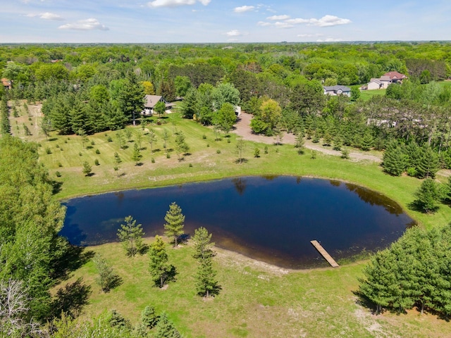 bird's eye view with a forest view and a water view