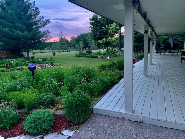 exterior space with a yard