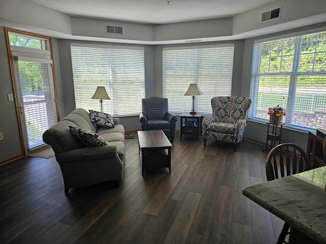 1880 3rd Ave NW Unit 215, Rochester, MN 55901 - living area with dark wood-style flooring, plenty of natural light, and baseboards