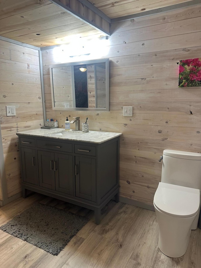318 Pine Ave S, Sandstone, MN 55072 - bathroom with wood walls, wood finished floors, vanity, and toilet