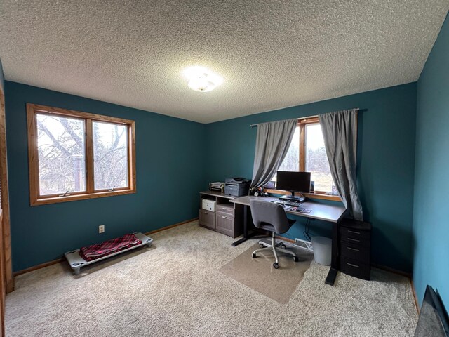 318 Pine Ave S, Sandstone, MN 55072 - office space featuring carpet floors and a textured ceiling