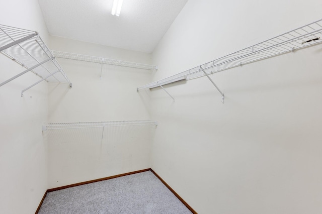 walk in closet featuring carpet floors
