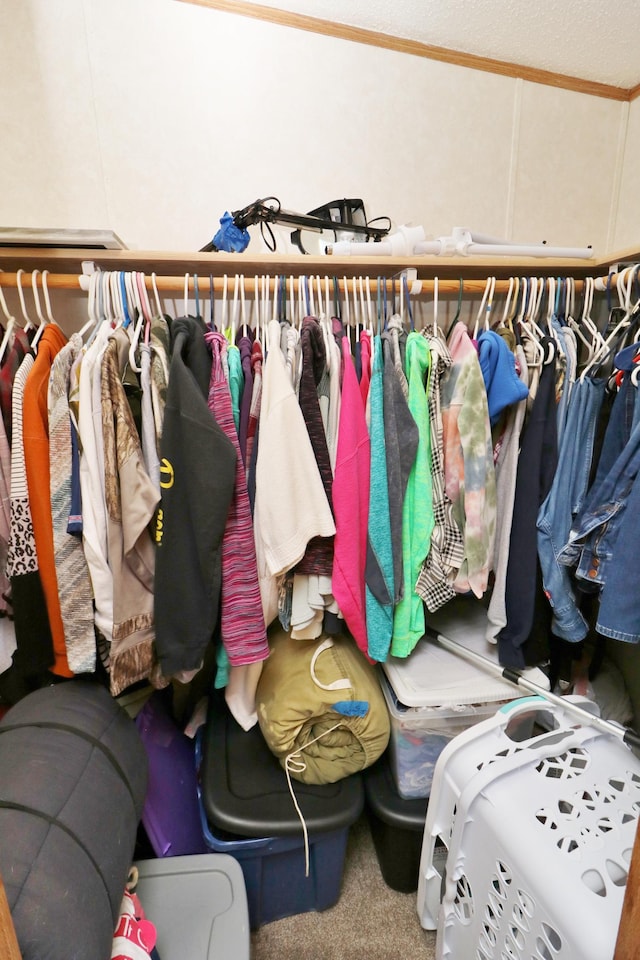6304 Chickadee Ln SW, Alexandria, MN 56308 - spacious closet featuring carpet