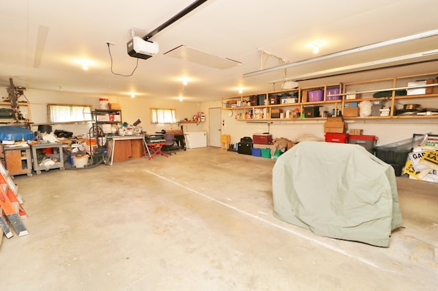 6304 Chickadee Ln SW, Alexandria, MN 56308 - garage featuring a garage door opener and a workshop area