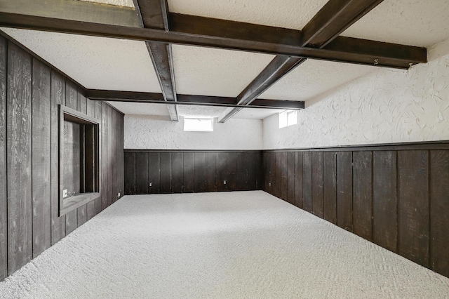 below grade area featuring wood walls, carpet, a textured wall, and a wainscoted wall
