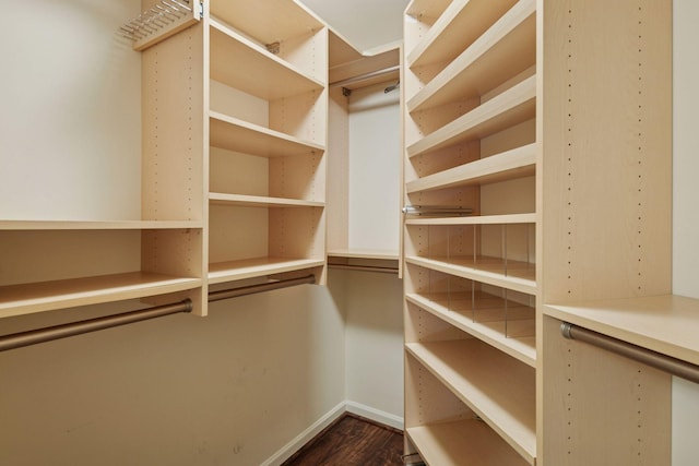 500 Grant St Unit 1711, Minneapolis, MN 55404 - spacious closet with dark wood-type flooring