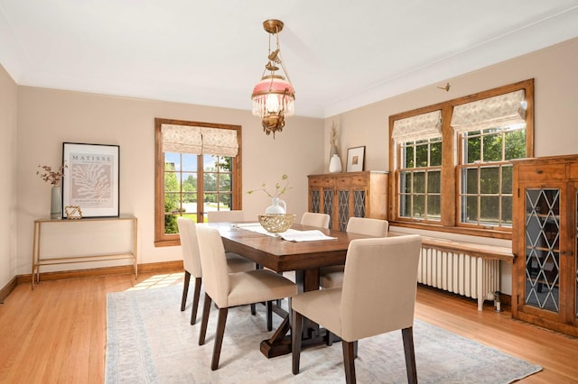 5352 15th Ave S, Minneapolis, MN 55417 - dining area with radiator heating unit, healthy amount of natural light, light wood-style floors, and a chandelier