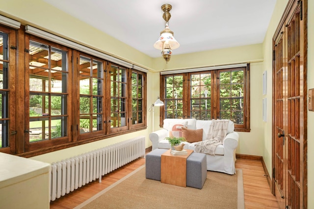 5352 15th Ave S, Minneapolis, MN 55417 - sunroom with radiator heating unit and french doors